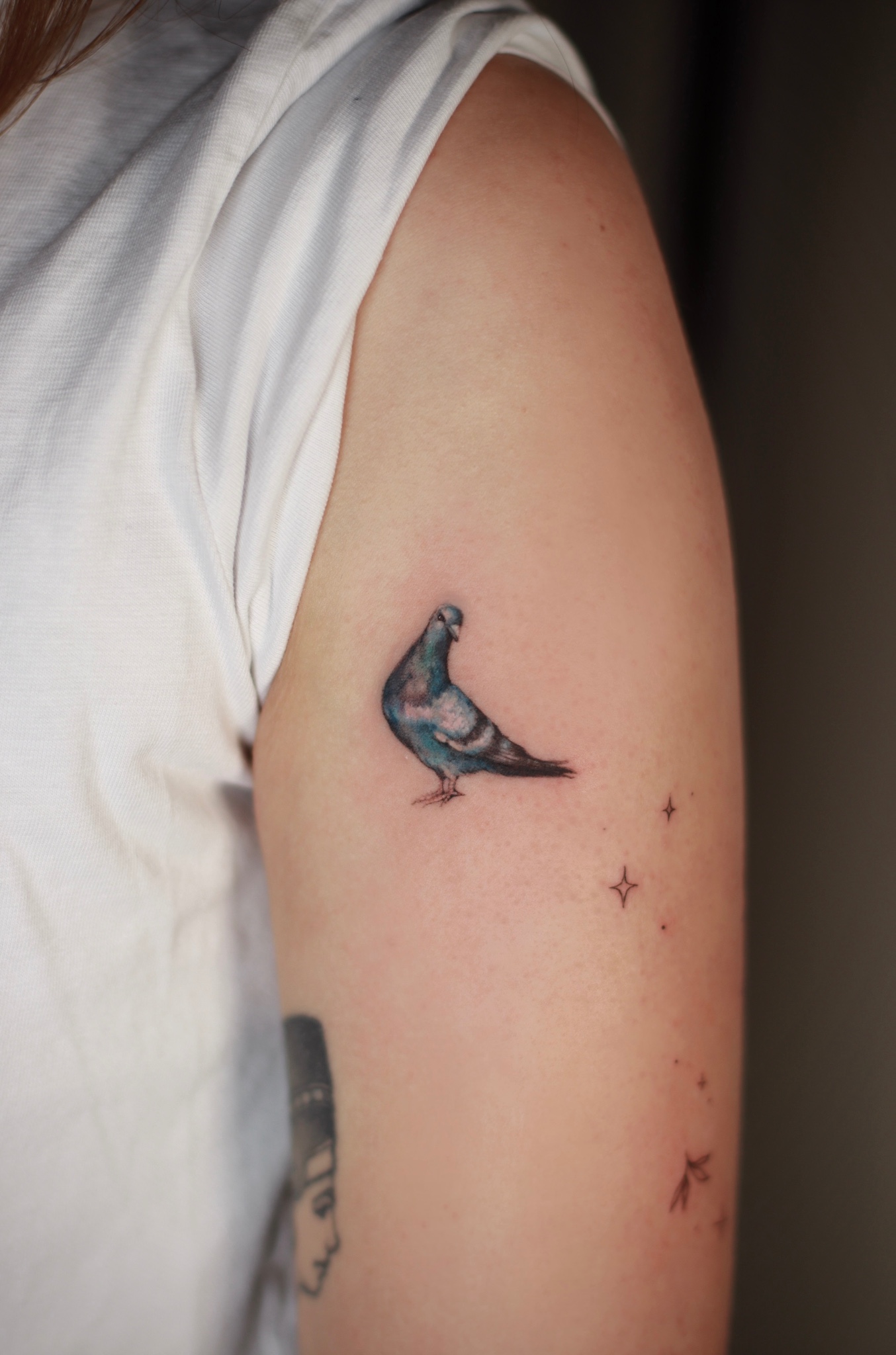 microrealistic-tattoo-berlin - Tattoo von Daria bei Void Ink Berlin