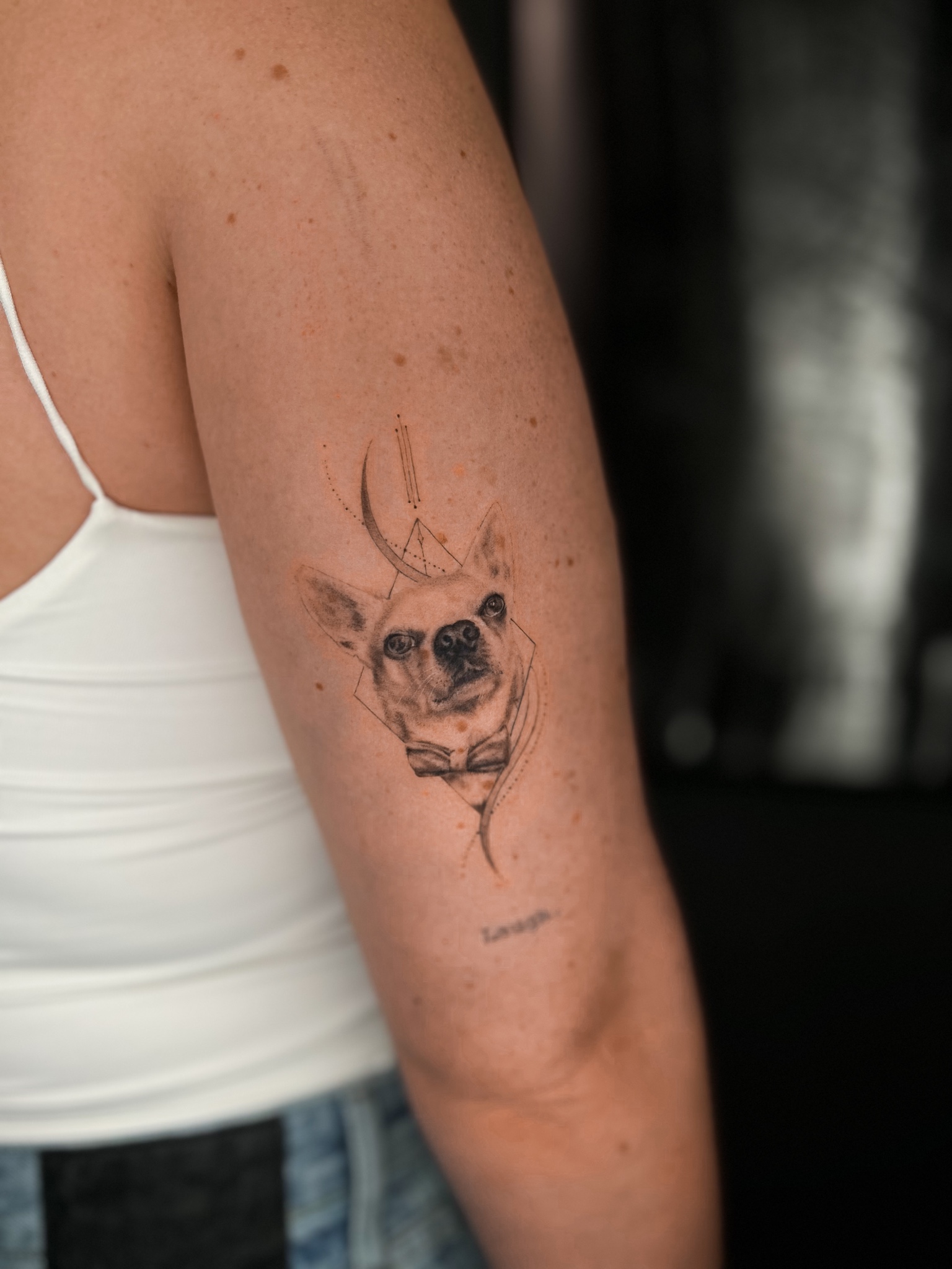 microralistic-tattoo-berlin - Tattoo von Jelena bei Void Ink Berlin