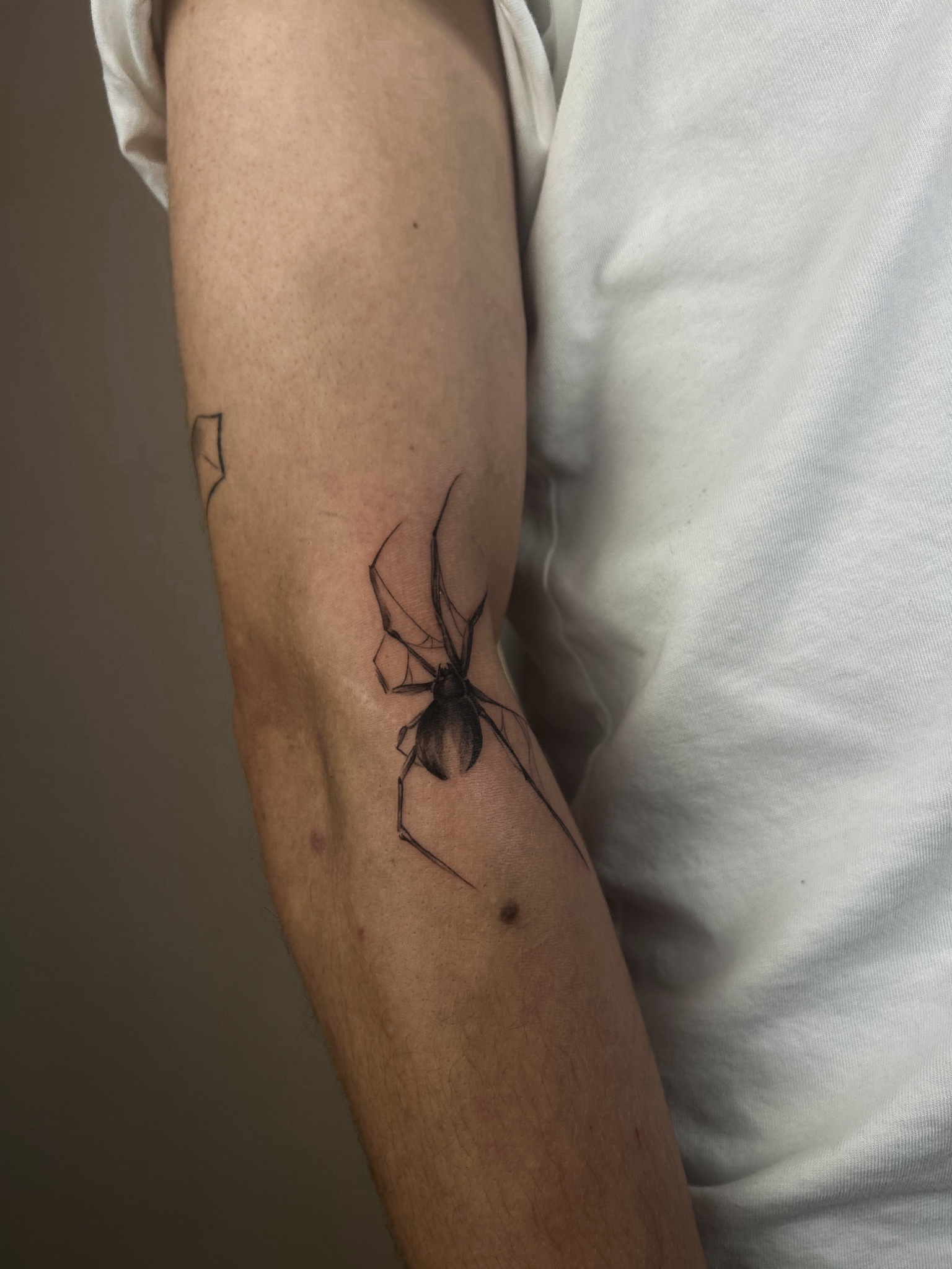 spider-surreal-tattoo-prenzlauer-berg - Tattoo von Jelena bei Void Ink Berlin