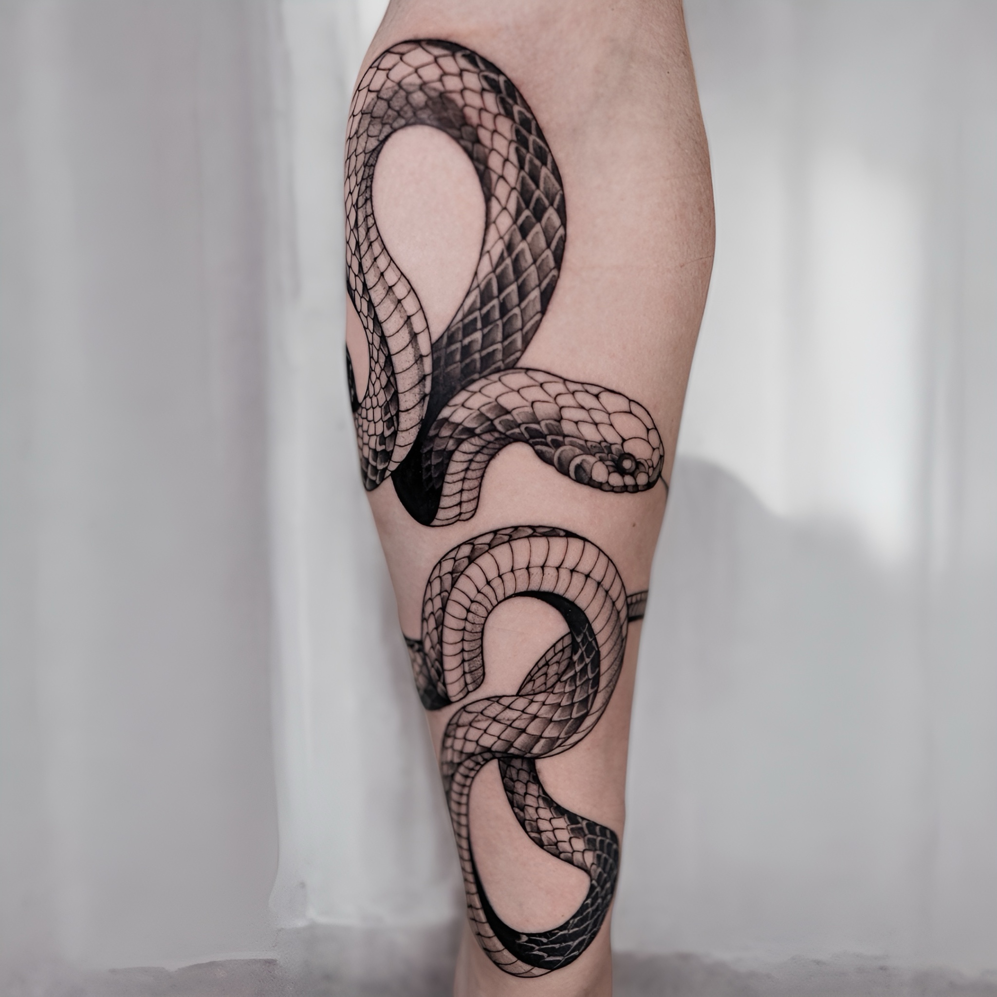 schlange-tattoo-berlin - Tattoo von Karina bei Void Ink Berlin