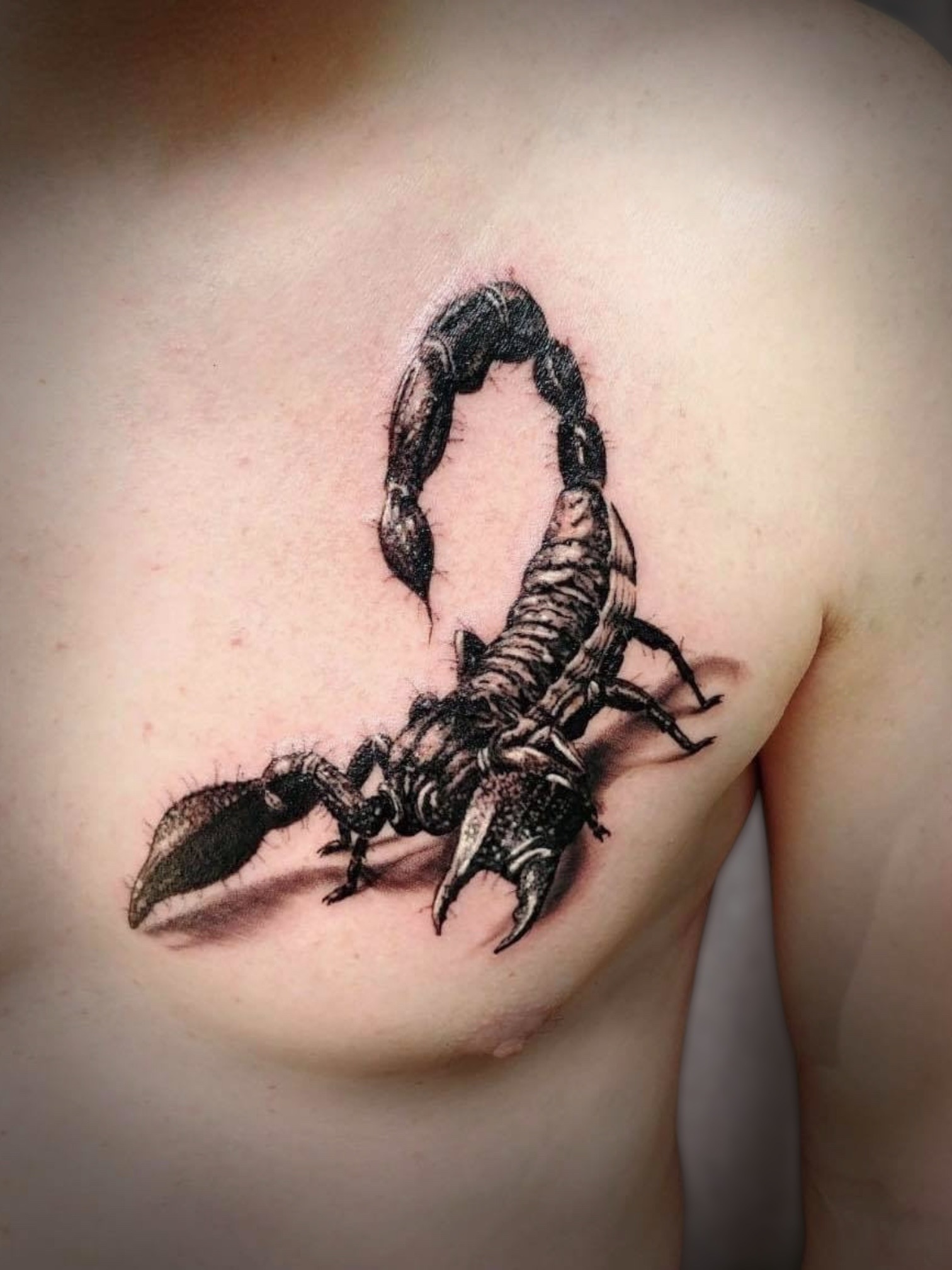 Scorpion Tattoo Berlin – Tattoo von Peter