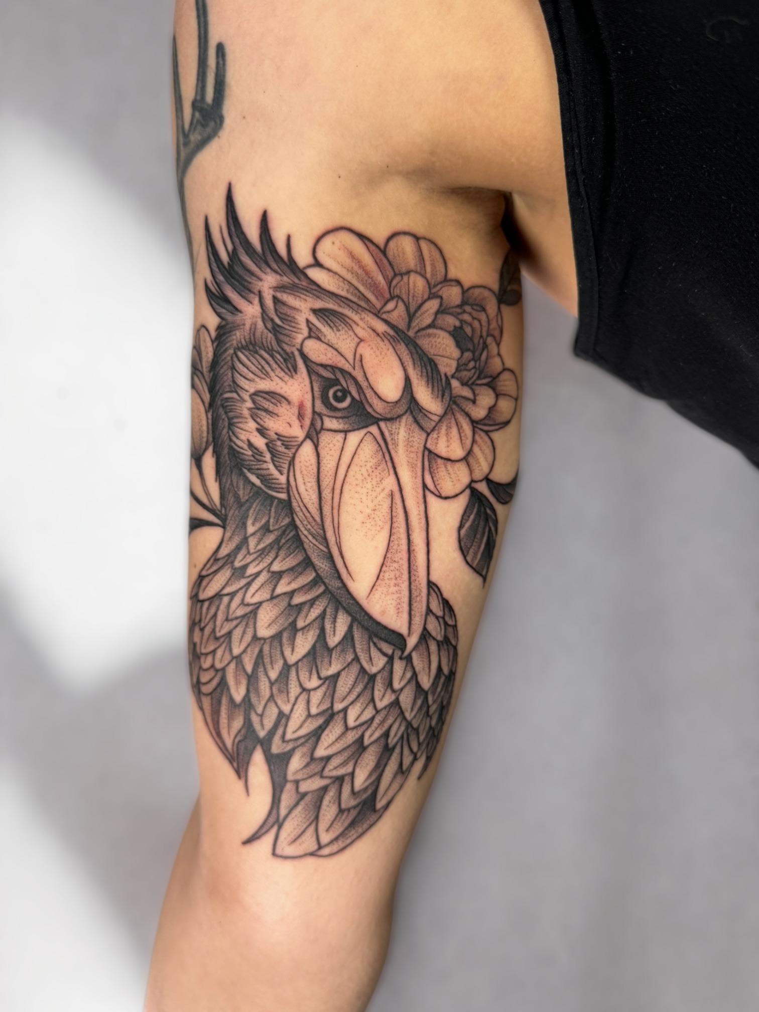 Shoebill Tattoo – Tattoo von Peter