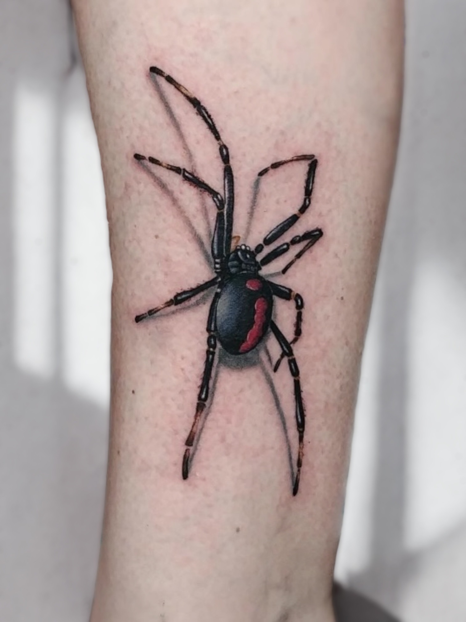 Spider Tattoo Berlin – Tattoo von Peter